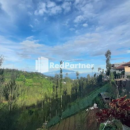Bromo Indah Lestari Homestay Mitra Reddoorz Pasuruan Buitenkant foto